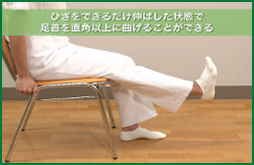 ひざをできるだけ伸ばした状態で、足首を直角以上に曲げることができる