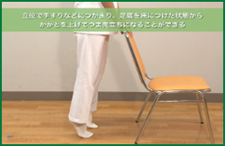 手すりにつかまり、足底を床につけた状態から、つま先立ちになることができる