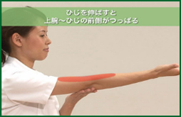 ひじを伸ばすと上腕～ひじの前側がつっぱる