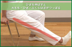 ひざを伸ばすと太もも・ひざ・ふくらはぎがつっぱる
