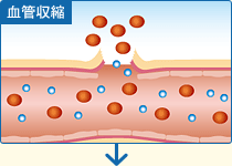 血管収縮